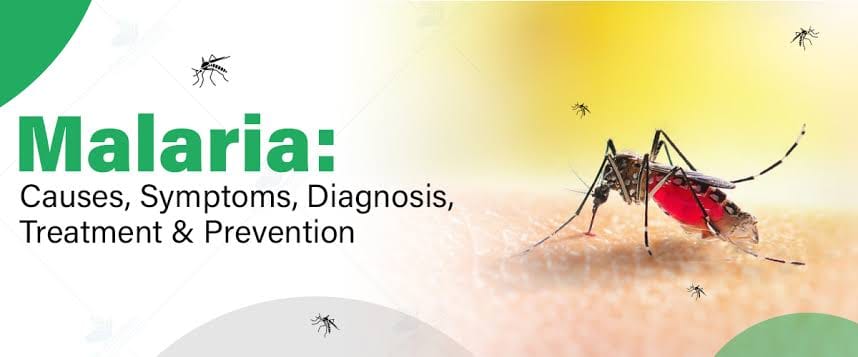 Cause Of Malaria In Africa